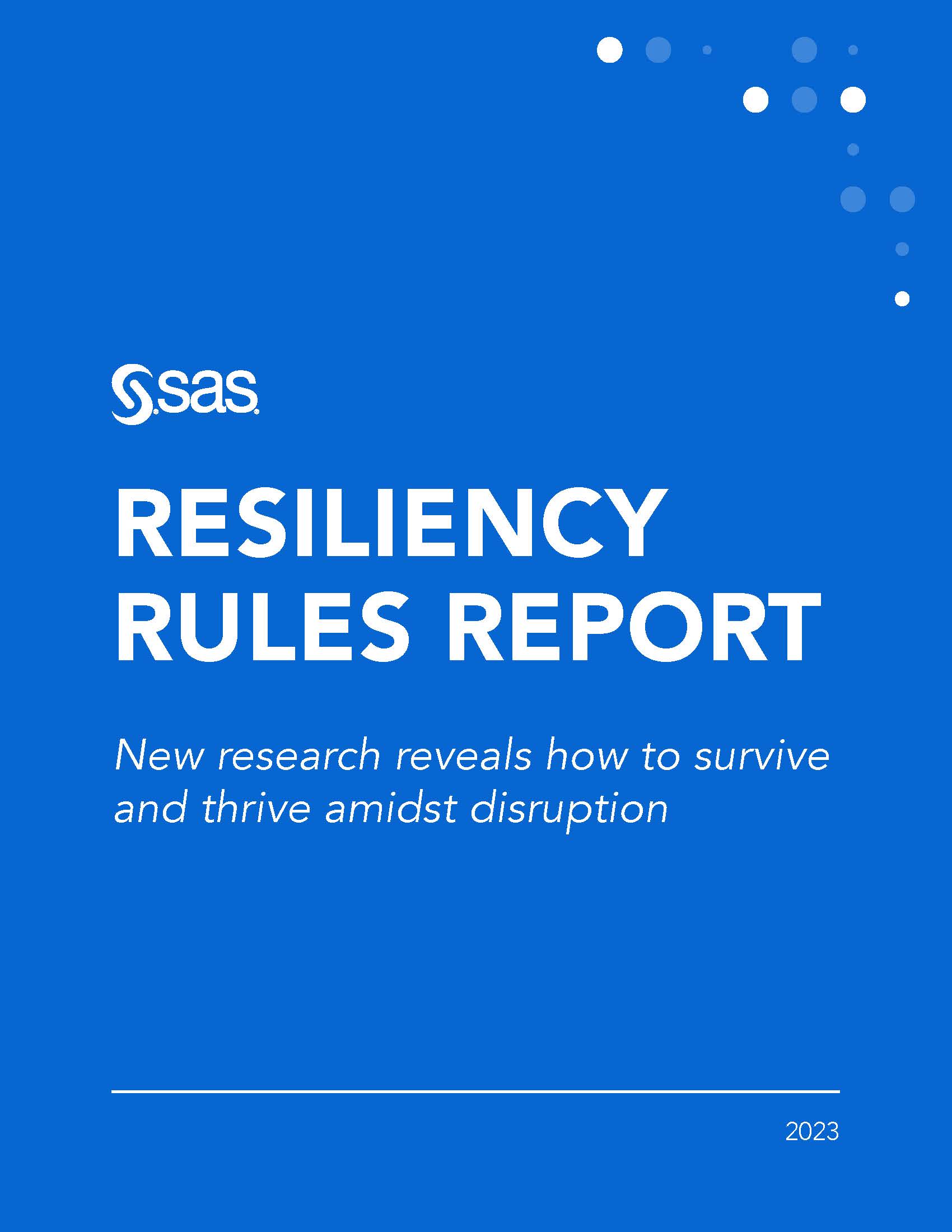RESILIENCY RULES REPORT